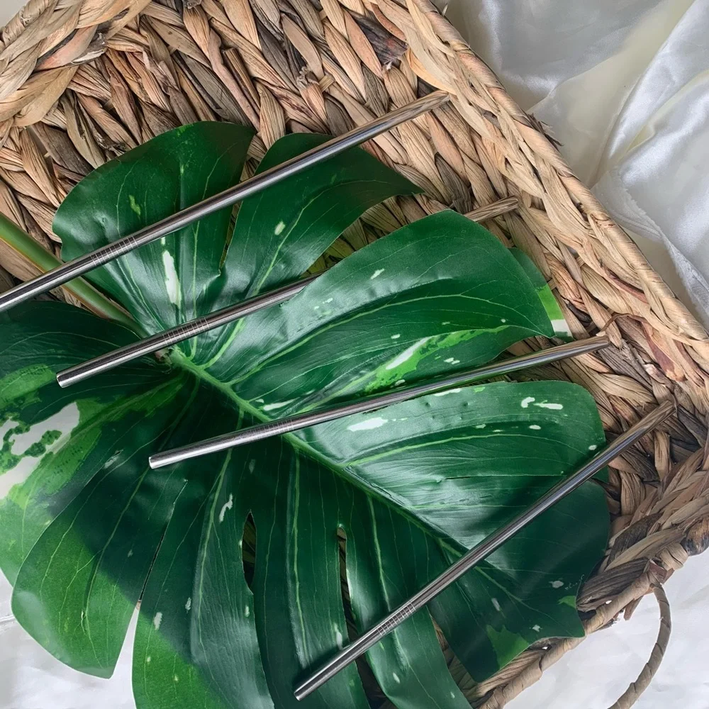 Stainless Steel Reusable Straw